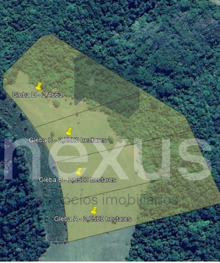 Sítio, 2 hectares - Foto 4