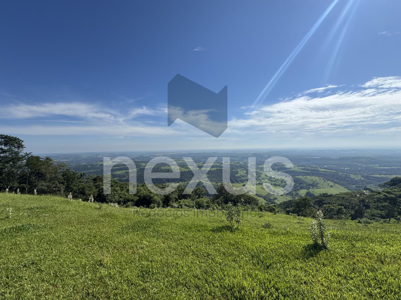 Sítio, 2 hectares - Foto 2