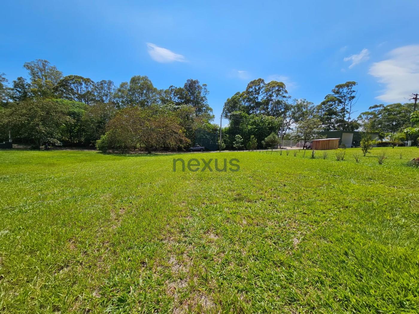 Terreno, 1000 m² - Foto 4