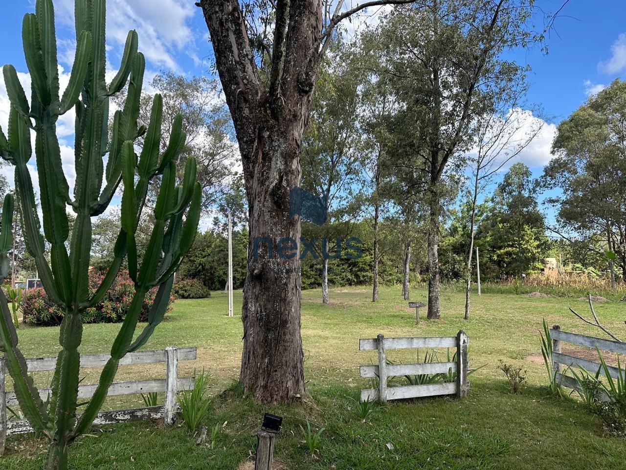 Sítio, 6 quartos, 3 hectares - Foto 17