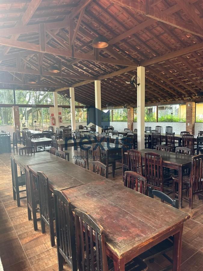 Sítio, 6 quartos, 3 hectares - Foto 21