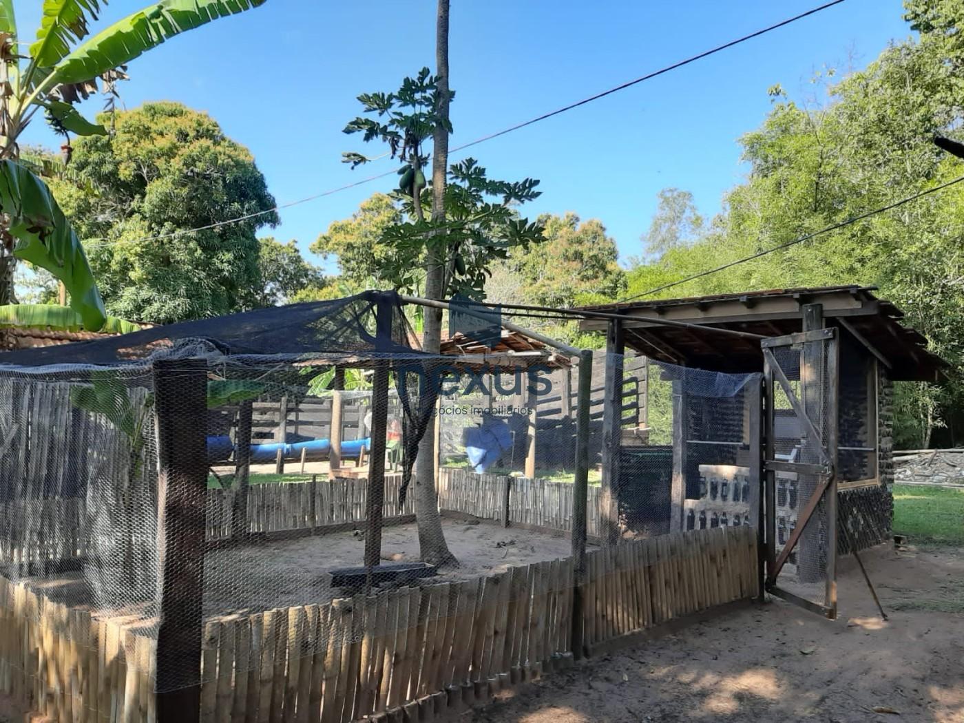 Fazenda, 14 m² - Foto 3